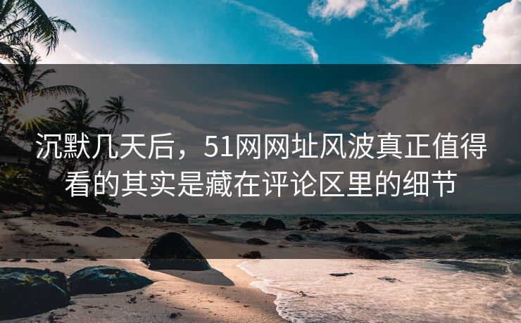 沉默几天后，51网网址风波真正值得看的其实是藏在评论区里的细节
